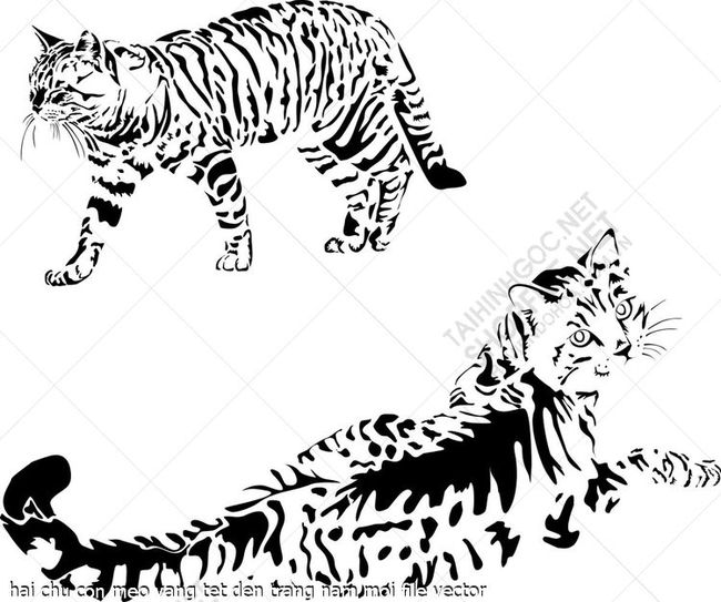 hai chu con meo vang tet den trang nam moi file vector